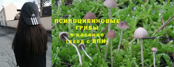 трава Алзамай