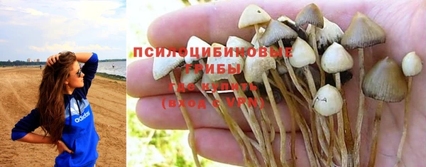 трава Алзамай