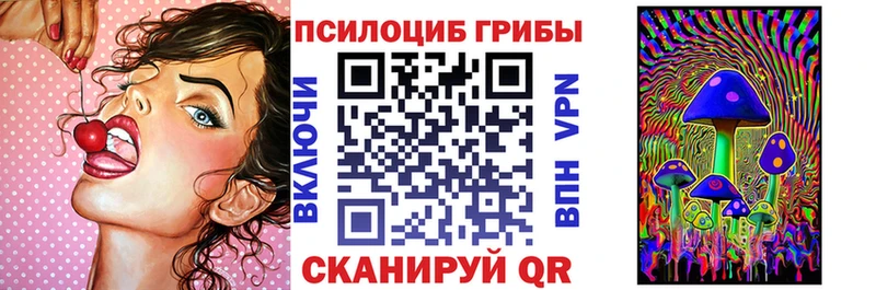 Псилоцибиновые грибы ЛСД  Балашов 